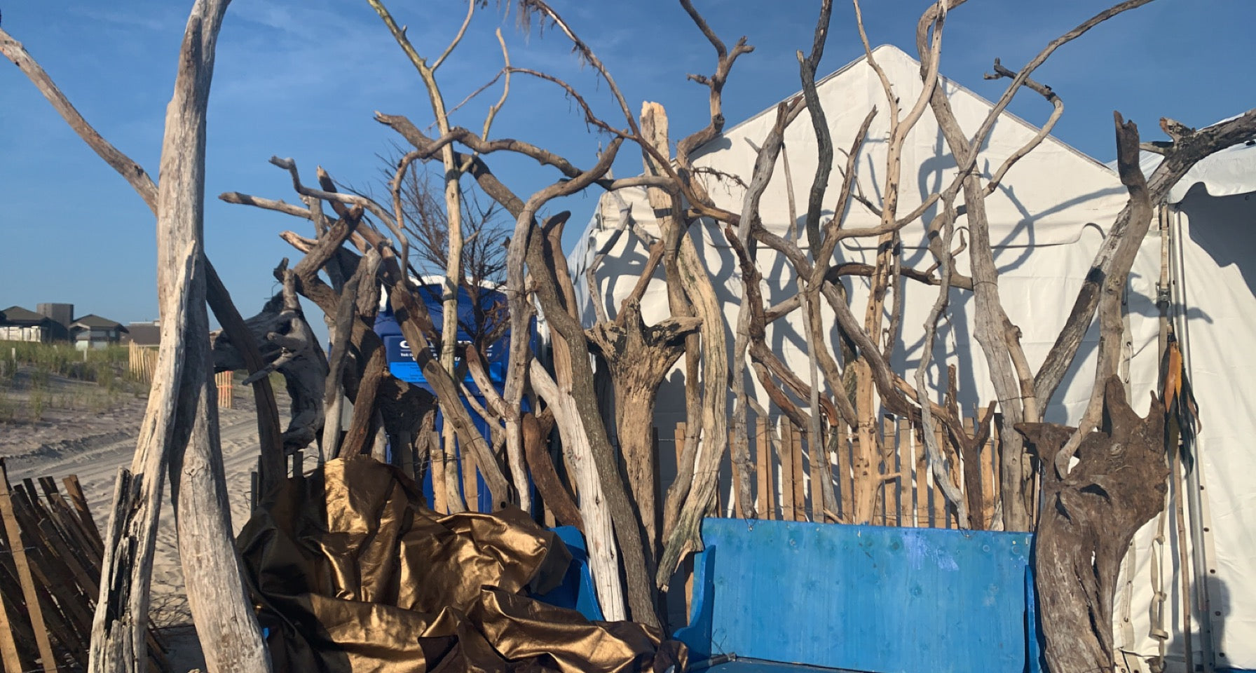 drift wood throne